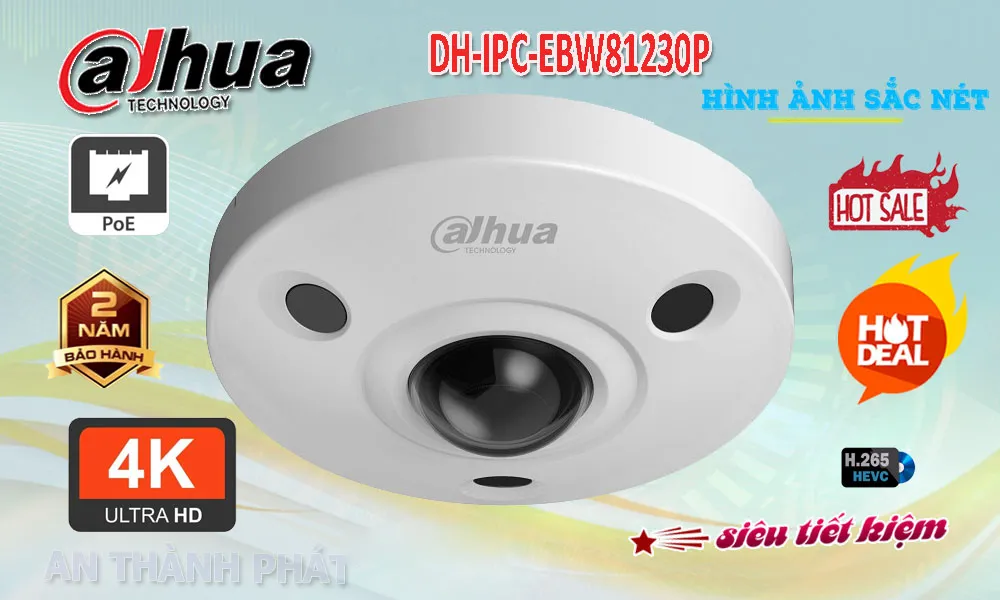Fisheye DH-IPC-EBW81230P  dahua Camera 12MP 